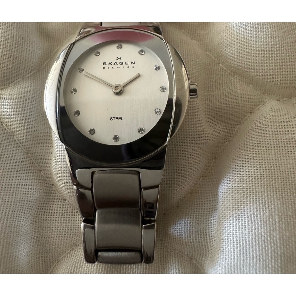 Skagen Watch